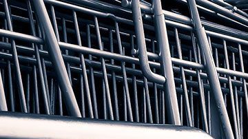 Un antropóloga analizó esta curiosa situación.