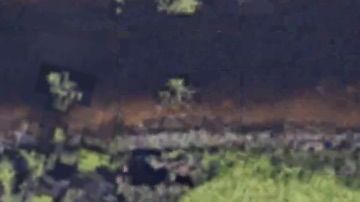 Vista aérea de la casa donde tuvo lugar el incidente.