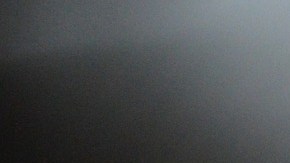 Joseph es un Scottish Fold con la particularidad de tener un ojo de cada color.