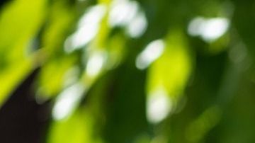 Los niños que hablan solos estimulan su creatividad a través de la invención de diversos conflictos y soluciones, necesarios para que el juego tenga sentido y se alargue.