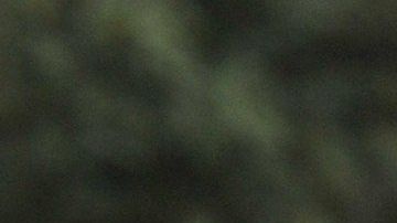 Hector Chumpitaz, leyenda del fútbol peruano.