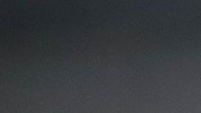 Durante varios minutos se puede ver sufrir al animal.