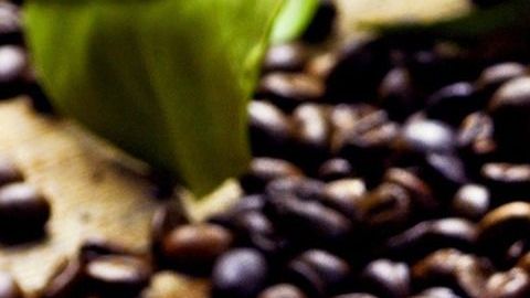 café