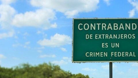 polleros contrabando