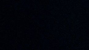 Joe Biden tomó a su favor los argumentos de la republicana.