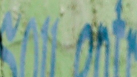 Miembros de una funeraria recogen el cuerpo de un adulto de 65 años.