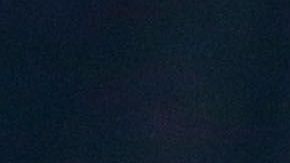 Sergiño Dest, seleccionado de Estados Unidos.