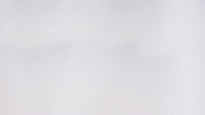 Xiao Bao fue todos los días al hospital donde falleció su dueño por coronavirus, en la ciudad china de Wuhan.