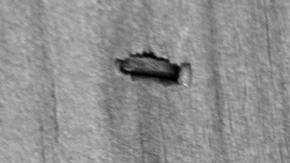 Aunque parece una imagen desoladora, la historia es completamente otra.