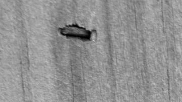 Aunque parece una imagen desoladora, la historia es completamente otra.