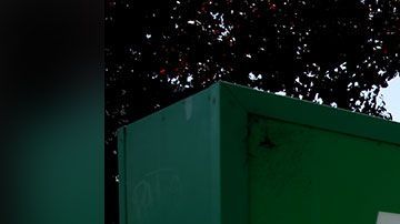 Quizá te convenga más comprar estos productos en tu tienda de a dólar más cercana.