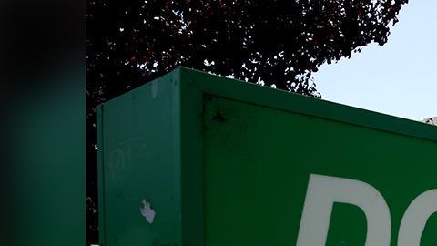 Quizá te convenga más comprar estos productos en tu tienda de a dólar más cercana.