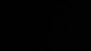 ¿Dónde está Elisa?