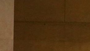 Durante la pandemia las iglesias están celebrando sus misas sin feligreses presentes en persona. Las ceremonias religiosas son transmitidas en las redes sociales. (Catedral de Los Ángeles)