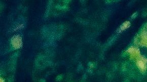 El mandatario estadounidense fue fotografiado el sábado jugando al golf.