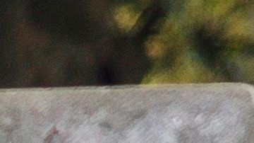 Casi 27,000 personas han muerto solo en el estado de Nueva York.