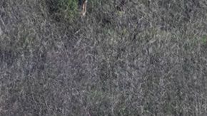 En el accidente murieron Kobe Bryant, su hija ‘Gigi’ y otras siete personas.