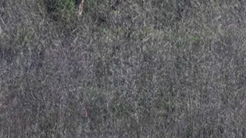 En el accidente murieron Kobe Bryant, su hija ‘Gigi’ y otras siete personas.