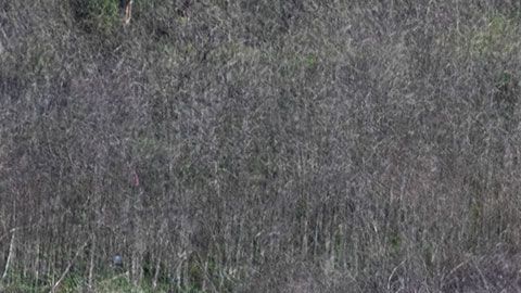 En el accidente murieron Kobe Bryant, su hija ‘Gigi’ y otras siete personas.