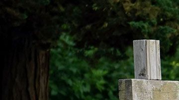 En algunos podrías ganar casi $60 mil dólares al año.