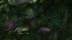 Aprende a enviar energías positivas a la distancia.