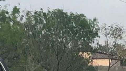 Escena del crimen