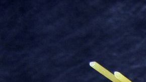 espagueti-Wolfgang Appel en Pixabay