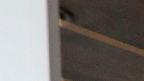 Las peluquerías llevan semanas desafiando las órdenes estatales que les impiden abrir.