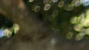 Brinde a sus hijos la orientación y el apoyo que necesitan para lidiar con el dolor para que puedan ganar confianza en su capacidad para manejar las inevitables dificultades de la vida.