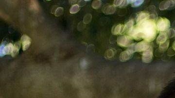 Brinde a sus hijos la orientación y el apoyo que necesitan para lidiar con el dolor para que puedan ganar confianza en su capacidad para manejar las inevitables dificultades de la vida.