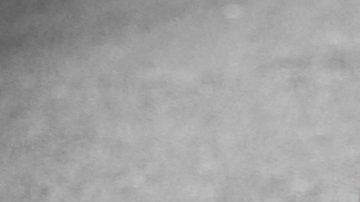 La firma de autos ha colaborado de diversas formas para erradicar la afectación de COVID-19 en el mundo.