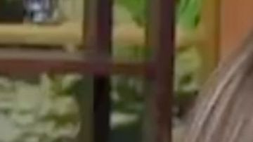 Flor Rubio y Horacio Villalobos en "Venga la alegría".