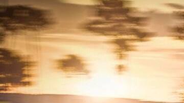 Ford GT 
Crédito: Cortesía Ford