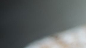 galleta-Pezibear en Pixabay