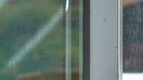 frontera cruce garitas