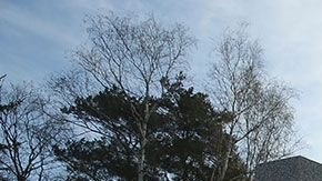 Este es uno de los errores más sorprendentes que ocurren con este apoyo.