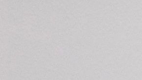 Renault quería la fusión, pero su aliado, Nissan, se opuso