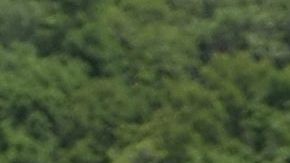 Las inundaciones por crecidas del Mississippi afectan desde junio.