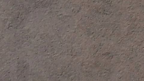 Nueva York es la entidad con más casos de coronavirus en el país.