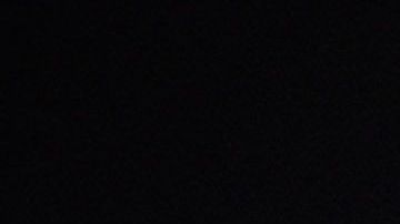 Arnold Schwarzenegger.