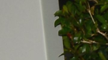 La actriz colombiana Sofáa Vergara compartió con sus seguidores de Instagram la inauguración del verano con la nueva decoración de su piscina.