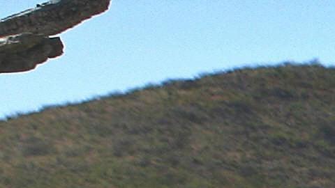 migrante desierto