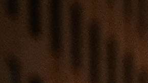 Nueva York convierte en la primera ciudad importante del país en eliminar los términos “illegal alien” o “ilegal immigrant” de sus leyes.