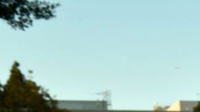 Nikki Bella y John Cena