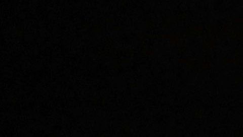 'Why We Hate' ahonda en ideologías divisivas del pasado y del presente.