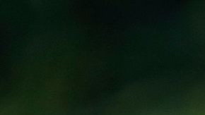 El Servicio Secreto desmintió haber interceptado un paquete dirigido a la Casa Blanca.