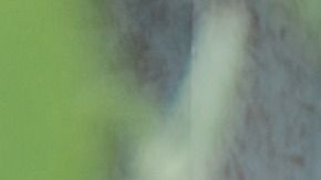 Consigue el perdón que necesitas.