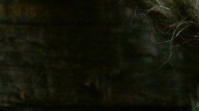 Los amarres son hechizos de amor.