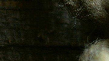 Los amarres son hechizos de amor.