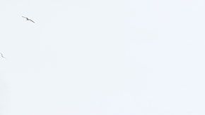 Algunas tiendas aún dependen demasiado de las ventas de sus tiendas físicas.